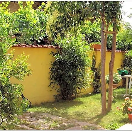 Degli Amici Bed and Breakfast Τσιαμπίνο